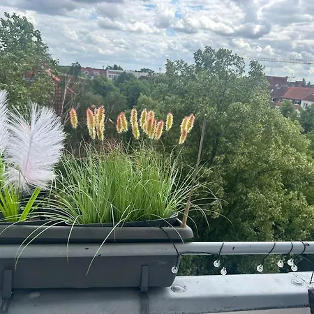 Lejlighed Stilvolle Und Gut Ausgestattete 2-zimmer *
